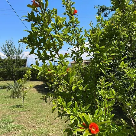 Sofia Ágios Matthaíos