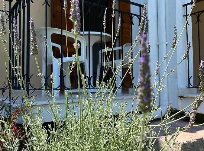 Sofia 아파트 바니체스