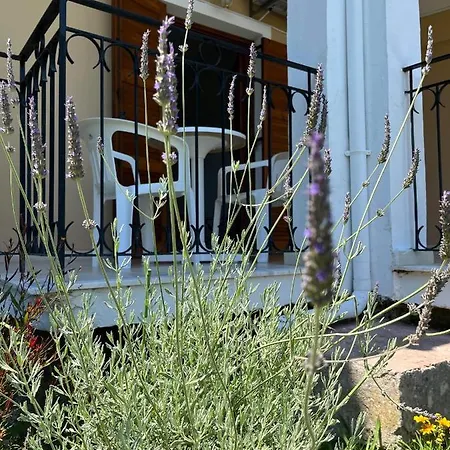 Sofia Apartament Ágios Matthaíos